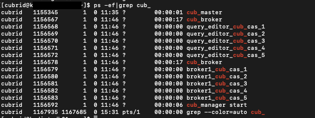 ps_ef|grep_cub_.png